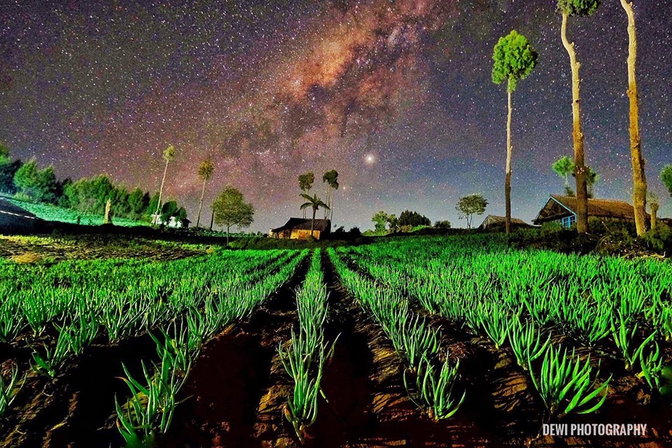 Bincang Sunyi